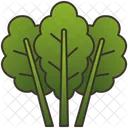 Kale Green Leaf Icon