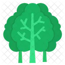 Kale  Icon