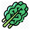 Kale Vegetable Food Icon