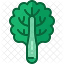 Kale  Icon