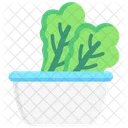 Kale Vegetable Food Icon