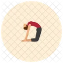 Kamelpose  Symbol