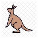 Kangaroo  Icon