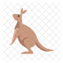 Kangaroo  Icon