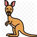 Kangaroo Animal Mammal Icon