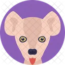 Kangaroo Land Zoo Icon