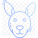 Kangaroo  Icon