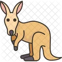 Kangaroo  Icon