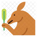 Kangaroo  Icon