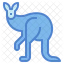 Kangaroo  Icon