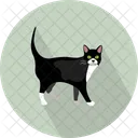 Katze  Symbol