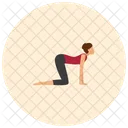 Katzenpose  Symbol