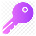 Key Smart Key Door Key Icon