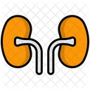 Kidney Icon