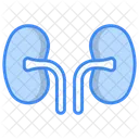 Kidney Icon