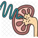 Kidney Shockwave Lithotripsy 아이콘