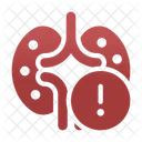 Kidney disease  Icon