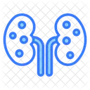 Kidneys Organ Anatomy Icon