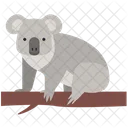 Koala Animal Wild Animal Icon