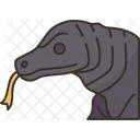 Komodo  Icono