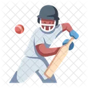 Cricketsport Cricket Cricketspiel Symbol