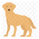 Labrador Dog Puppy Icon