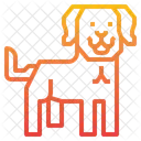 Labardor Dog Animal Icon