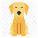 Labrador Retriever  Icon