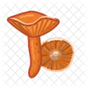 Lactarius  Icon