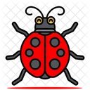 Ladybird  アイコン