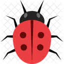 Ladybug  Icon