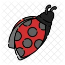 Ladybug  Icon