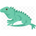 Lagarto  Ícone