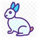 Lapin  Icône