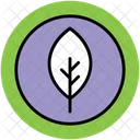 Leaf Nature Greenery Icon