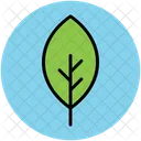 Leaf Nature Greenery Icon