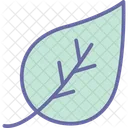 Ecology Leaf Nature Icon