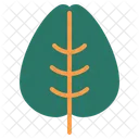 Leaf  Icon