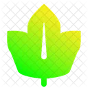 Leaf Autumn Nature Icon