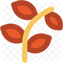 Leaf Branches Plant Icon