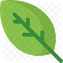 Leaf Icon