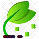 Leaf Nature Spring Icon