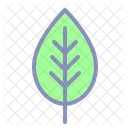 Leaf Spring Plant Icon