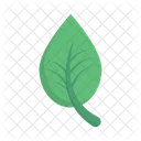 Leaf Green Nature Icon