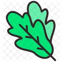 Leaf  Icon