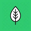 Leaf Spring Plant Icon