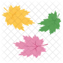 Leaf Autumn Falling Icon