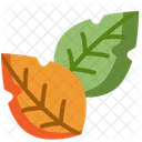 Leaf  Icon