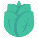 Leaf Leaves Nature Icon