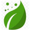 Leaf Icon